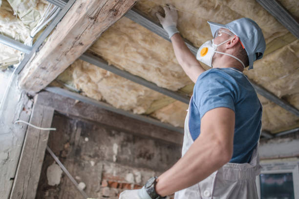 Best Energy Efficiency Solutions in Monrovia, CA