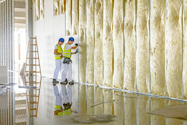 Best Commercial Insulation in Monrovia, CA